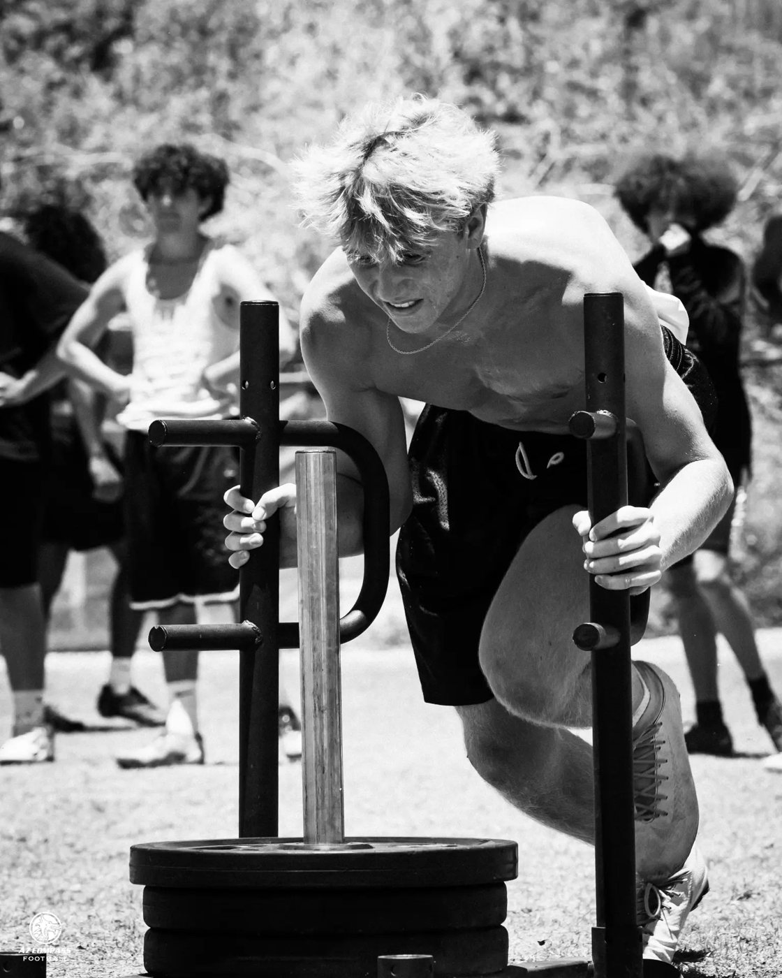 Jax driving a weighted sled in a black-and-white training photo